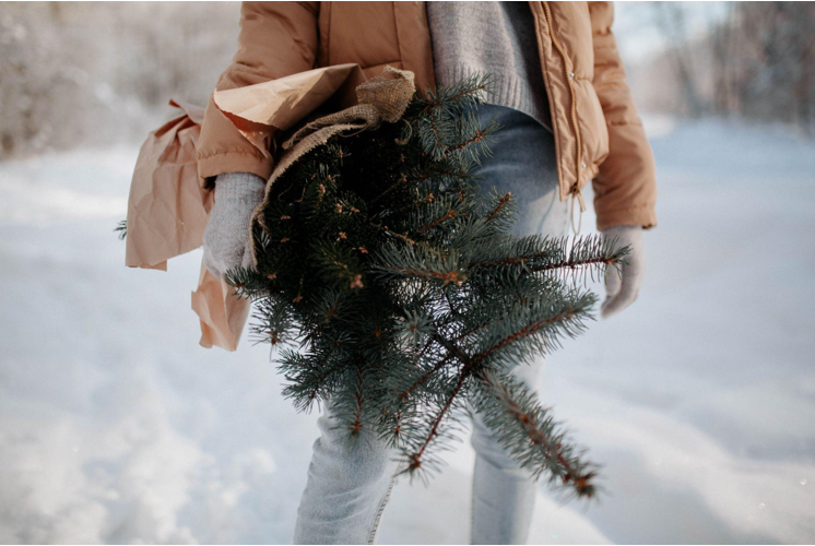 Alaska’s Northern Lights: Flocked Garland